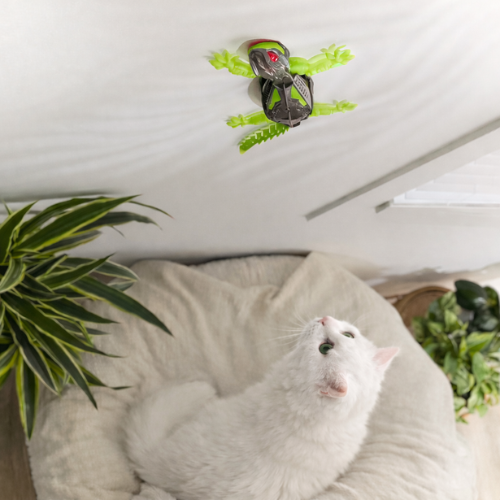 Lizard – För klättrande, jagande och aktiv lek