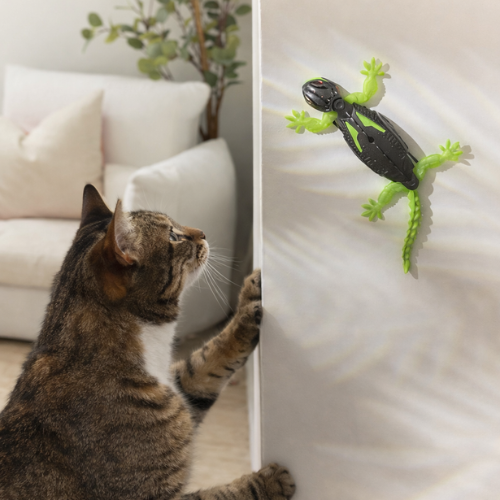 Lizard – För klättrande, jagande och aktiv lek