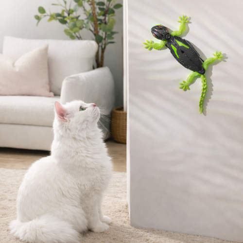 Lizard – För klättrande, jagande och aktiv lek