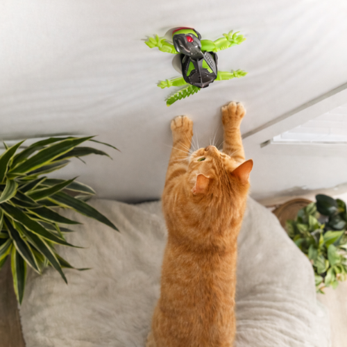 Lizard – För klättrande, jagande och aktiv lek