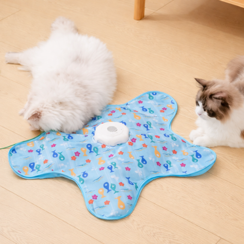 KattJägarn- för jakt, lek och stimulans