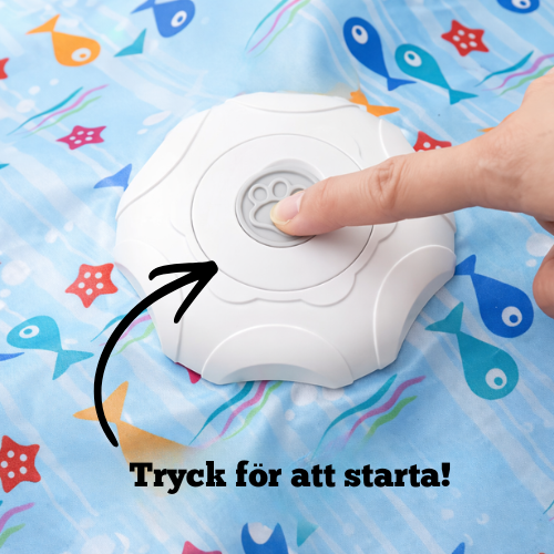 KattJägarn- för jakt, lek och stimulans