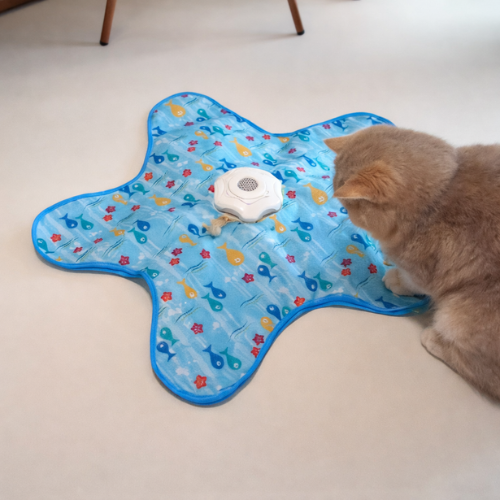 KattJägarn- För jakt, lek och stimulans