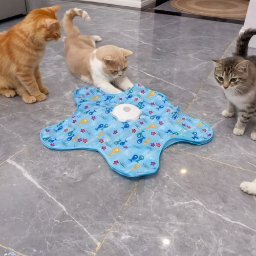 KattJägarn- För jakt, lek och stimulans